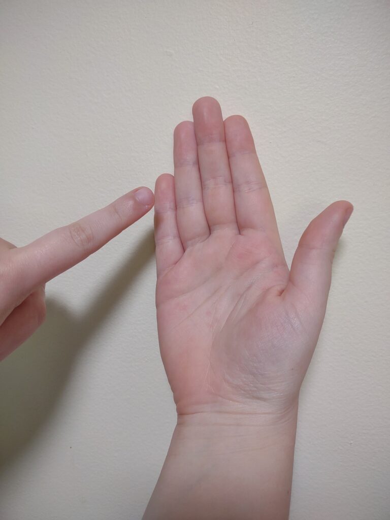 Picture shows a right hand facing palm out with the thumb to the right. The left hand is pointing to a spot near the pinkie to indicate where the person lives in Michigan